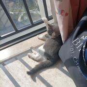 林咩咩的个人资料头像