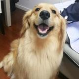 宝贝福头像