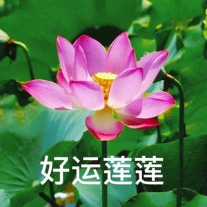 花花猫分享头像