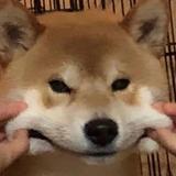 咔咔771头像