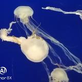 生活21886627头像