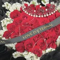 快乐星辰NSH头像