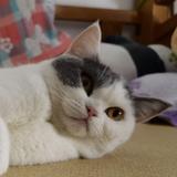 GzMark头像