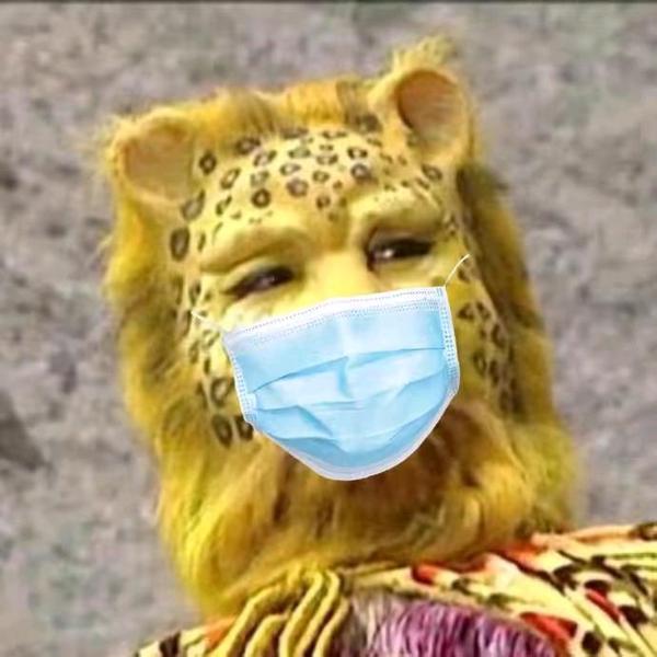 阮争头像