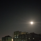 W金先生头像
