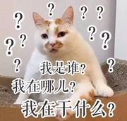 不知何方来的傻子的个人资料头像