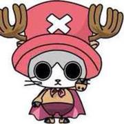 小歪的个人资料头像