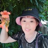 晨晨95337头像