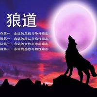 A狼道910头像