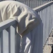 zl桃的个人资料头像