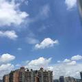 Liaogh2头像