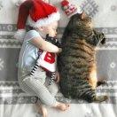 煮的一手好开水的个人资料头像