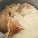 Willing的个人资料头像