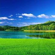 yanfengzhang的个人资料头像