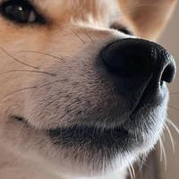 用户9794091331557头像