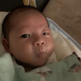 安逸画板fG头像