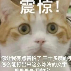 英模岁月正义我咯头像