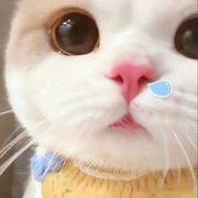 小阿姨吖的个人资料头像