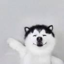 runninggao的个人资料头像