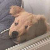 用户4245199786645头像