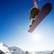 菠萝和凤梨的个人资料头像