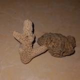 一切都有可能Dvm头像
