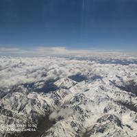 醉卧听风雨ass头像