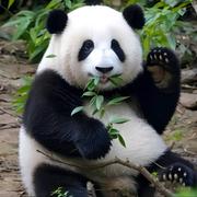 lianlian01的个人资料头像