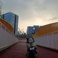 平平的55p头像