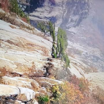 见山哥乐头像