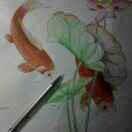 找地方哥哥对对头像