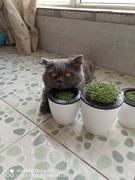 zx的个人资料头像