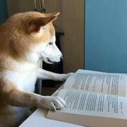 用户836819656740的个人资料头像