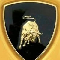 Toyota海狮头像