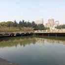 rainbowzhou的个人资料头像