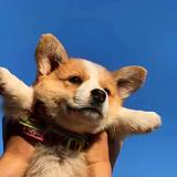 用户7614016685197头像