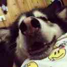 YEE_ALPHA64482的个人资料头像