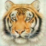 岫壑浮云5196头像