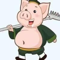 现场见fm