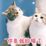 魏公子水古月头像