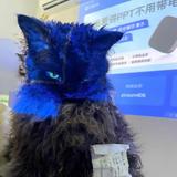 用户7050822头像