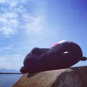 发条香蕉pikiyo的个人资料头像