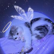 _24PAXLWSSY的个人资料头像