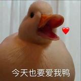 刘凯发880头像