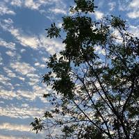 木易杨22868头像
