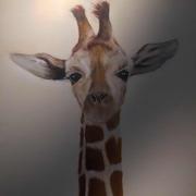 Aeolus65的个人资料头像