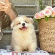 Iroko的个人资料头像