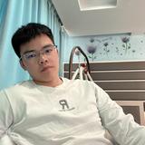 v罗宾头像