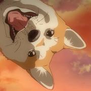 厌鱼的个人资料头像