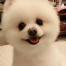 zj111062的个人资料头像